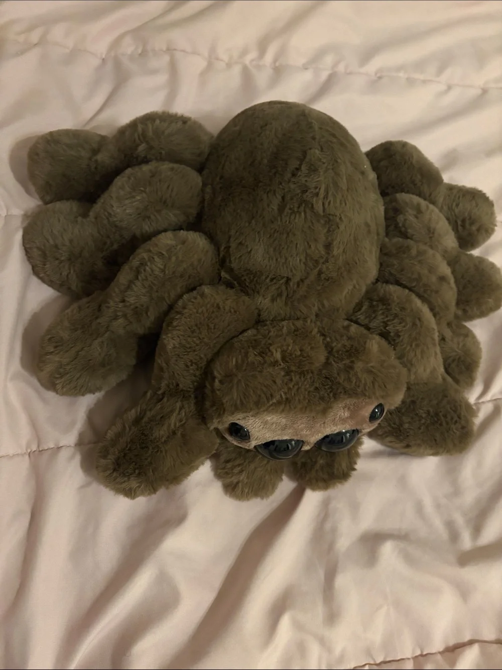 Build a bear jumping spider plushie